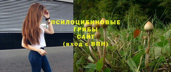 хмурый Струнино