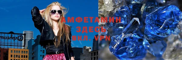 индика Алексин