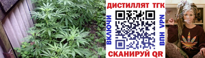 МЕГА tor Ачхой-Мартан Дистиллят ТГК вейп с тгк