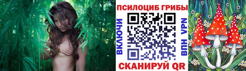 Галлюциногенные грибы Magic Shrooms цены Ачхой-Мартан